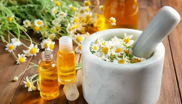 تصویر 2 از قیمت خرید عرقیجات گیاهی برند پامچال + فروش ویژه